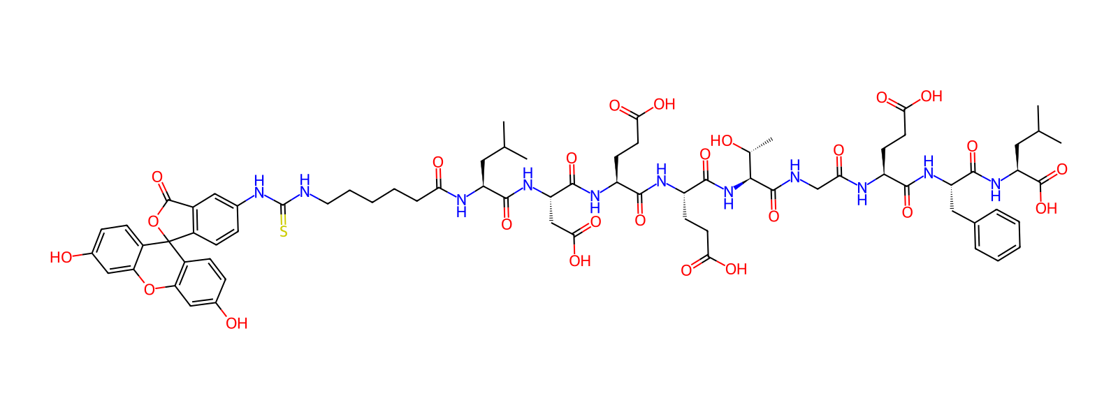 Peptide Image