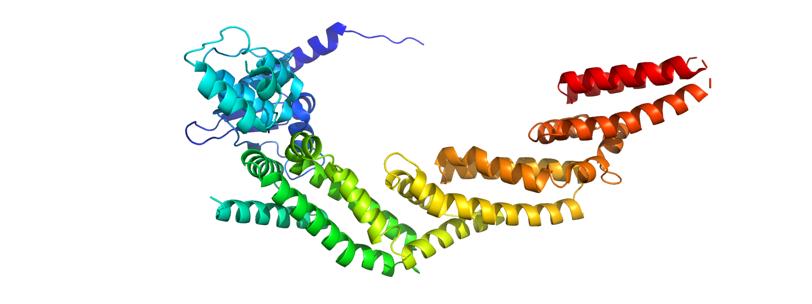 Protein Image