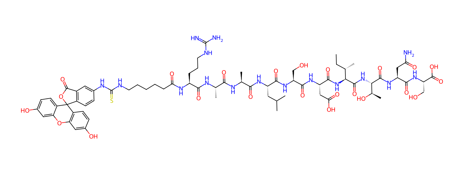 Peptide Image