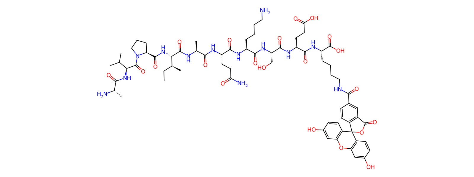 Peptide Image